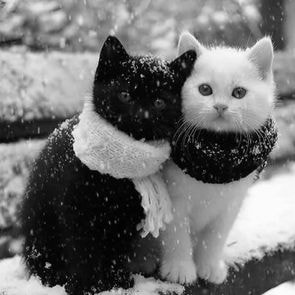 Информация о доставке заказов