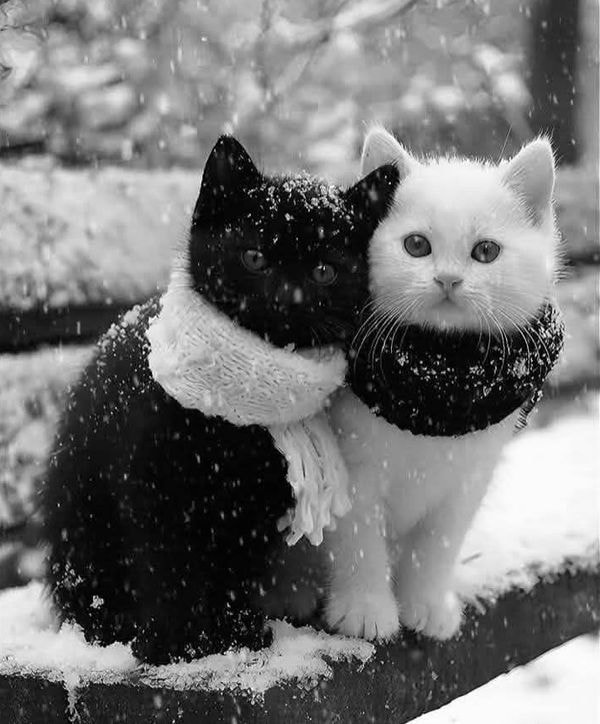 Информация о доставке заказов