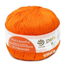 Успешная