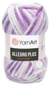 Allegro Plus