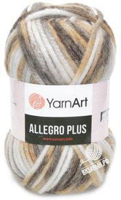 Allegro Plus