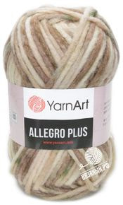 Allegro Plus