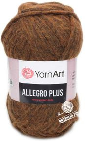 Allegro Plus