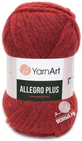 Пряжа YarnArt Allegro Plus
