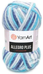 Allegro Plus