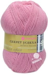 Секрет успеха