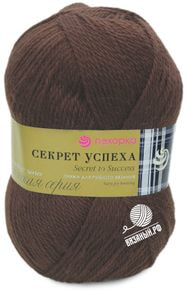 Секрет успеха