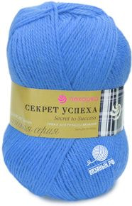 Секрет успеха