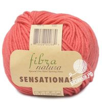 40810 (Коралл)