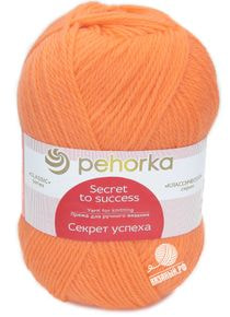 Секрет успеха