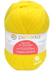 Секрет успеха