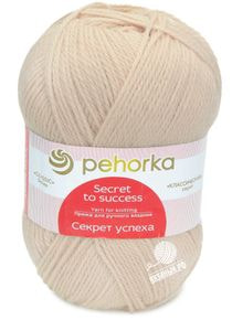 Секрет успеха