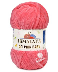 Dolphin Baby