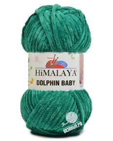 Dolphin Baby