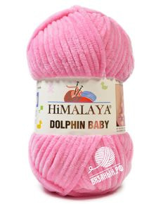 Dolphin Baby