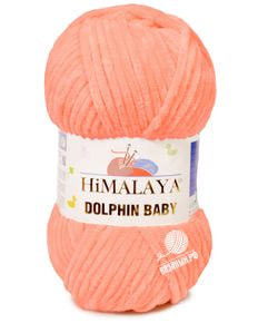 Dolphin Baby