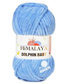 Dolphin Baby