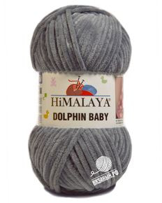 Dolphin Baby