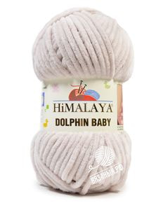 Dolphin Baby