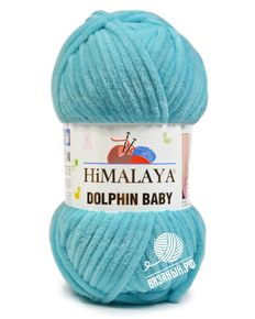 Dolphin Baby