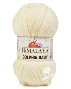 Dolphin Baby