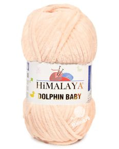 Dolphin Baby