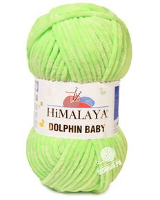 Dolphin Baby