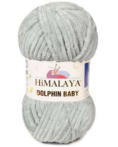 Dolphin Baby