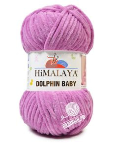 Dolphin Baby