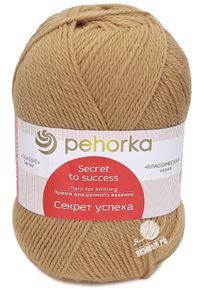 Секрет успеха