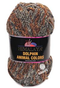 Dolphin Animal Colors