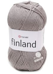 857 (Пепел)