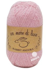 Rabbit Angora