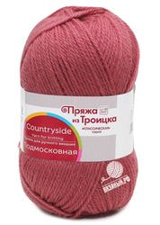 21 (Брусника)