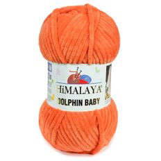 Dolphin Baby