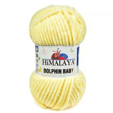 Dolphin Baby