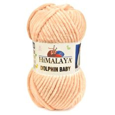 Dolphin Baby