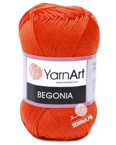 Begonia