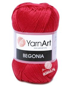 Begonia