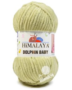 Dolphin Baby
