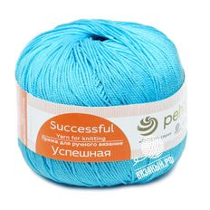Успешная