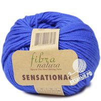 40804 (Василек)