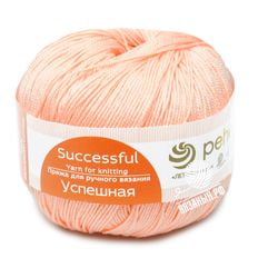 Успешная