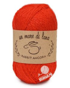 Rabbit Angora