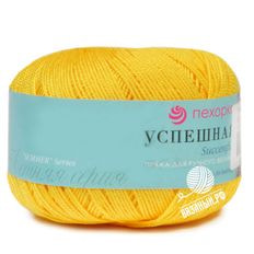 Успешная